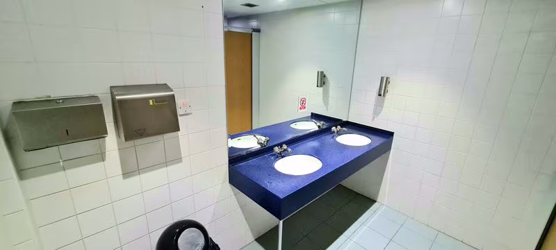 Toilet Pic1